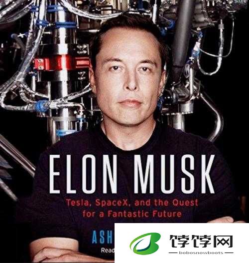 ElonMusk妹妹：探秘背后的神秘力量