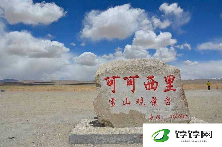 可可西里大但人文艺术听说主播很多：探索未知的艺术世界
