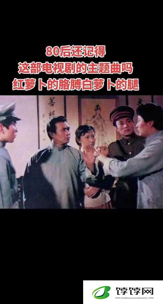 免费观看萝卜大全电视剧：精彩剧集等你来发掘