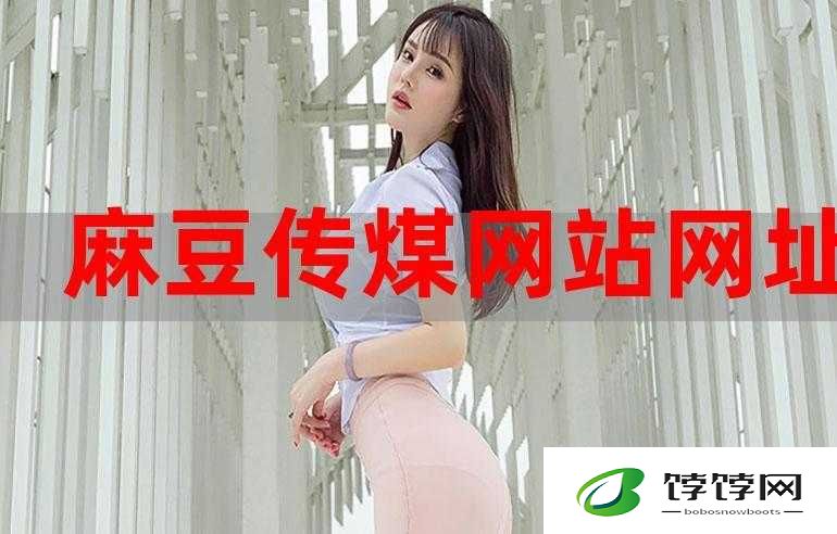 麻花豆传最新一期：节目来了