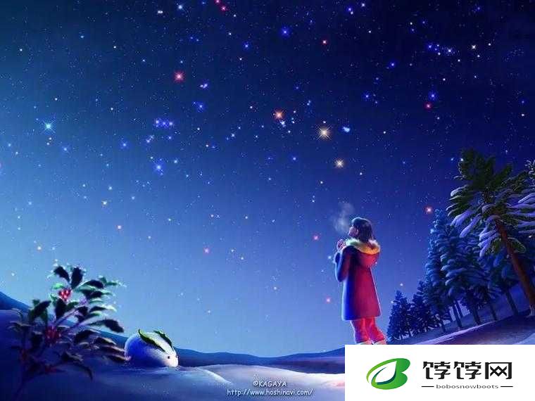 私人航空 2 满天星：星空之旅，畅享自由
