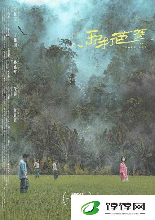 雨打芭蕉电影免费观看高清：热门影片的免费观影秘籍