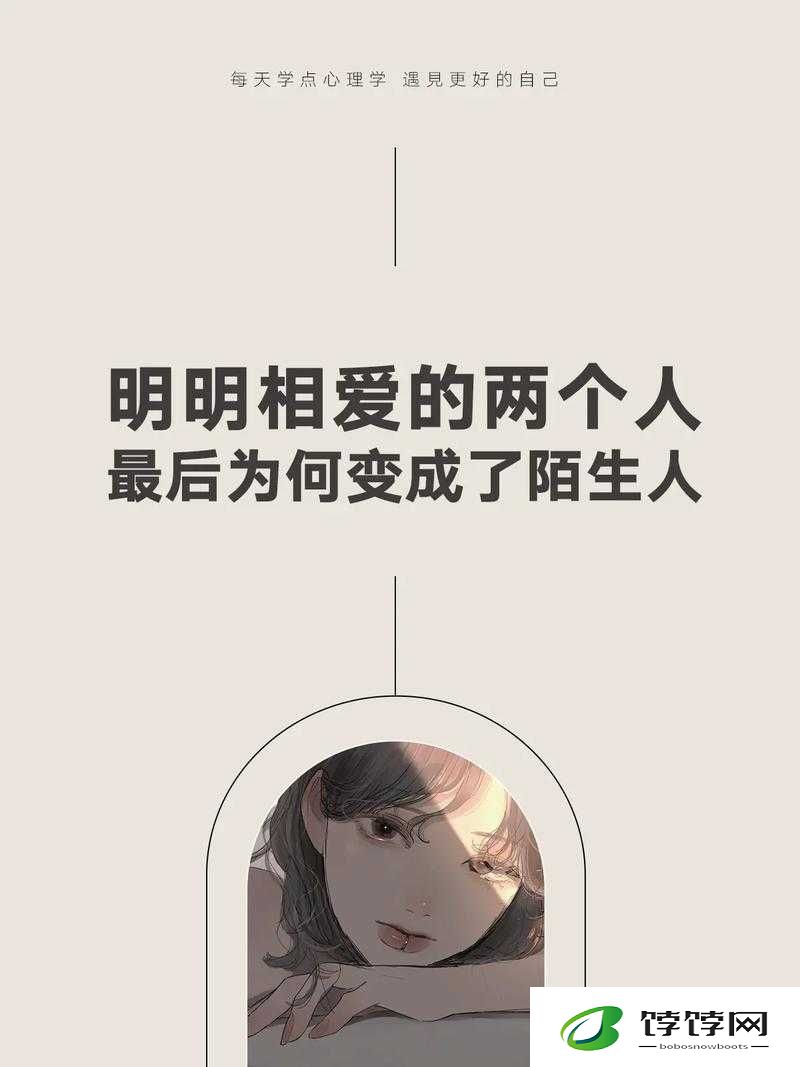 老婆说想找个陌生人试试复合：爱情的新冒险与挑战