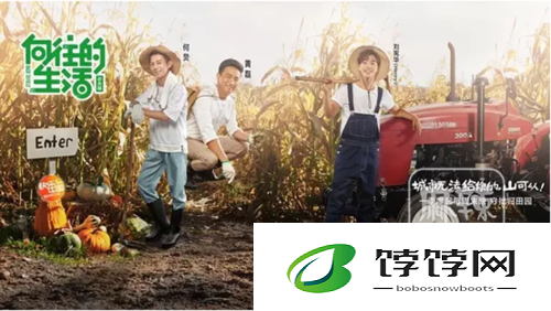 旅行者和丽莎拔萝卜：欢乐田园时光