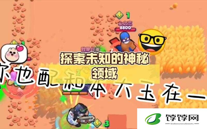 无人公园的狂野内存有多大：探索未知的神秘领域