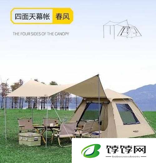 旅游野外 2 人住宿帐篷：探索未知的浪漫之旅