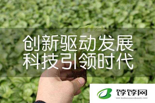 美国人与畜禽合作项目：掀起农业创新的热潮