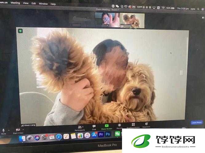 美国 ZOOM 人狗 APP 欢迎你来袭