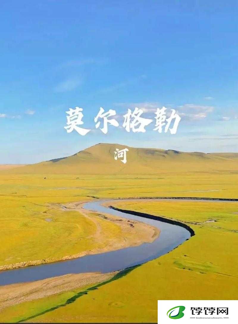 桂花婶：九曲十八弯的别样人生
