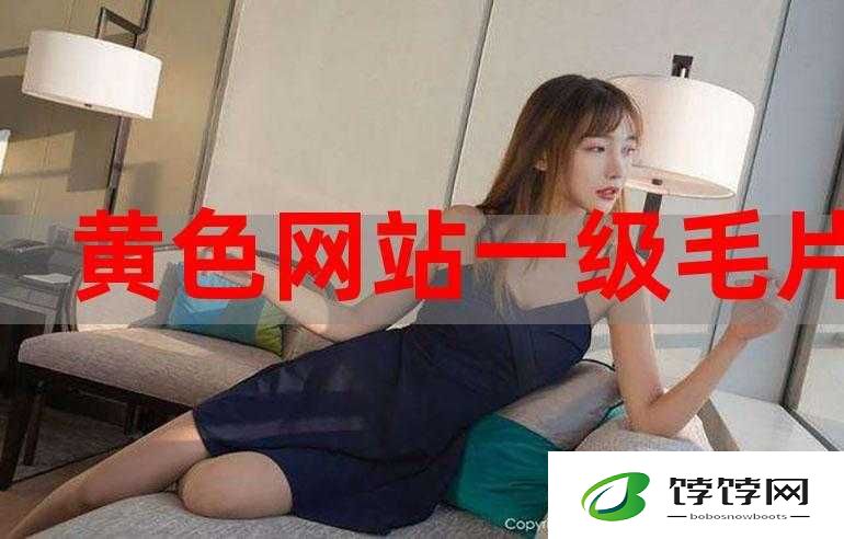 免费 B 站在线观看人数位置在哪找