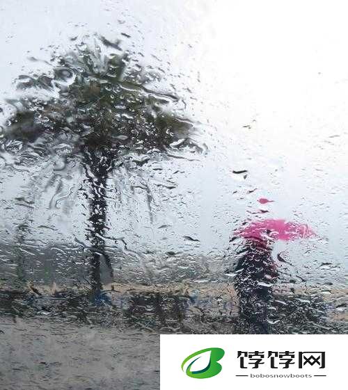 中に突然の大雨一雨宿：暴雨中的温暖港湾
