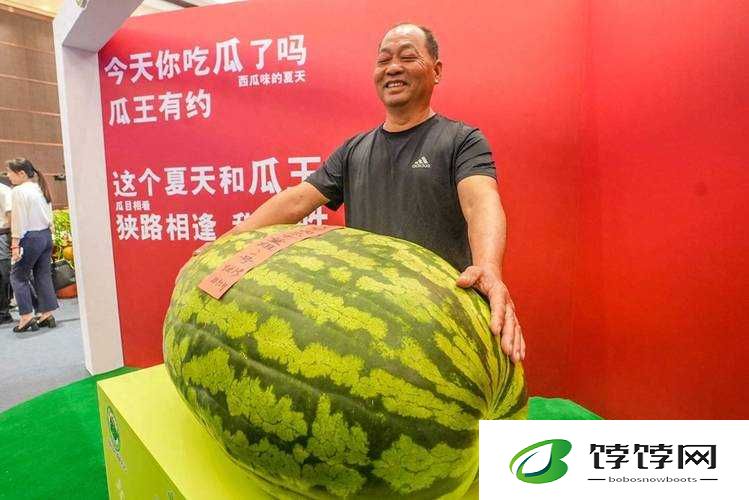 51 今日大瓜-热门大瓜新鲜出炉