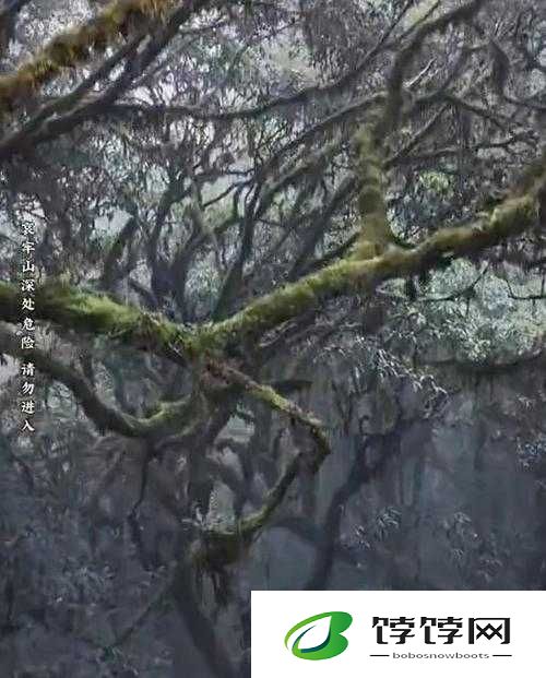 大地资源中文在线观看官网：探索未知世界的窗口