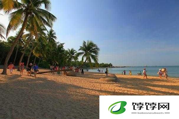 hjba85 海角论坛登录：探索神秘的网络角落