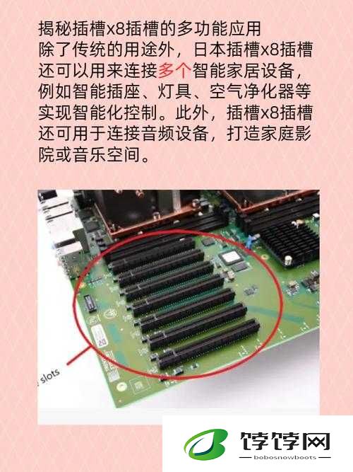 方法日本插槽 x8：正规还是仿探究