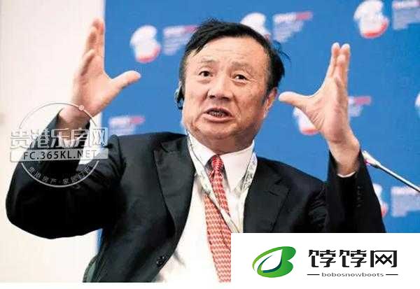 老孙头是村里的知名人士：乡村传奇人物的非凡人生