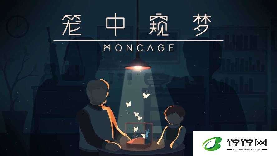 笼中窥梦的价格探究：了解笼中窥梦需要多少钱？