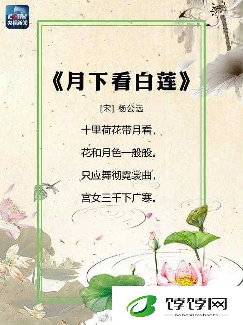 两瓣红莲今夜开一池碧水盼君浴：一场浪漫的邂逅之约