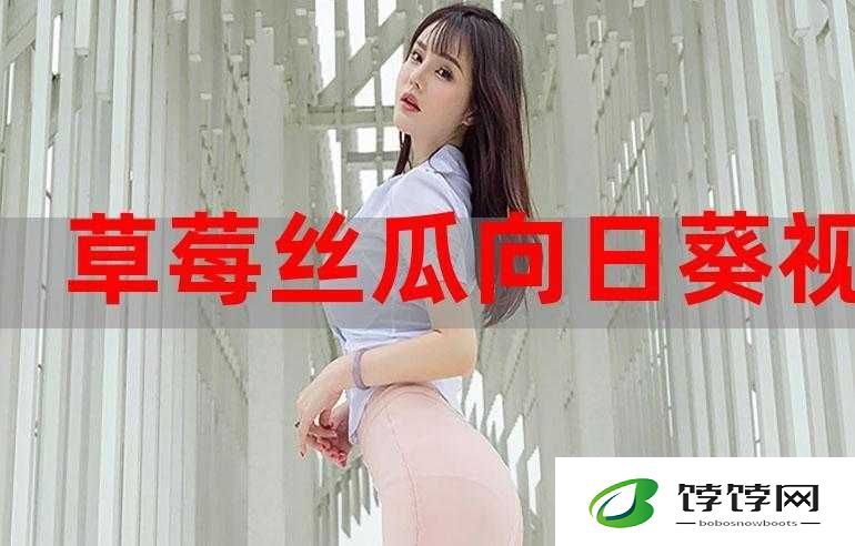 向日葵草莓丝瓜鸭脖：田园蔬果与美味鸭脖的组合