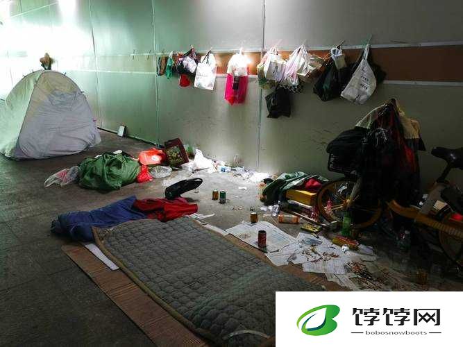 流浪汉把我拉进桥底免费阅读：震惊！背后隐藏的秘密