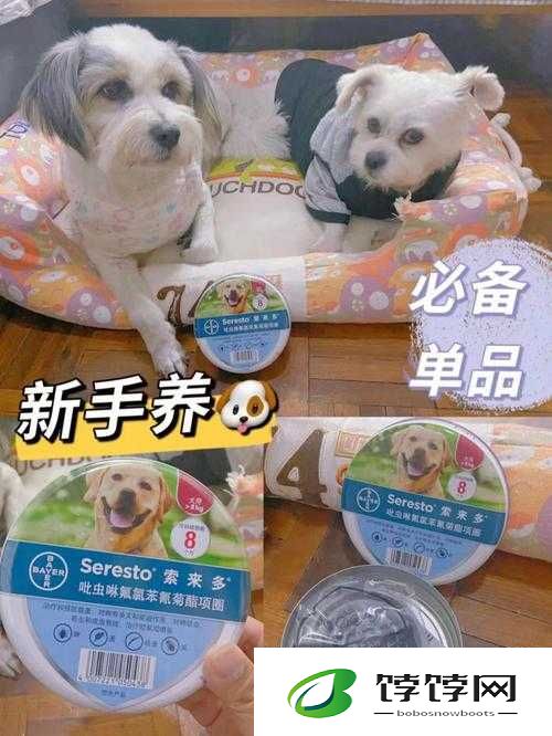 狗狗和人胶配方大全高清：探索宠物与人的亲密秘诀