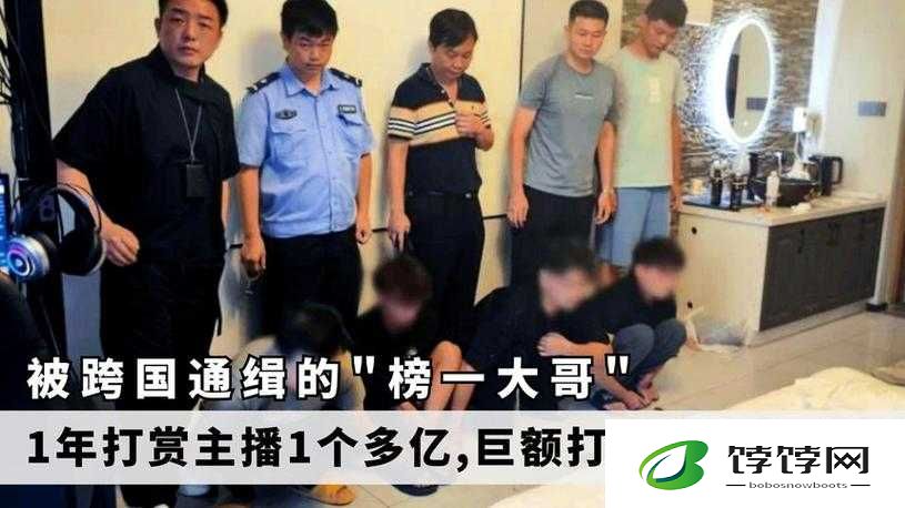 我养 1v3 榜一大哥的别样故事