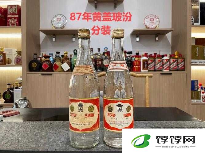 37 人文大但汾：一个独特的存在