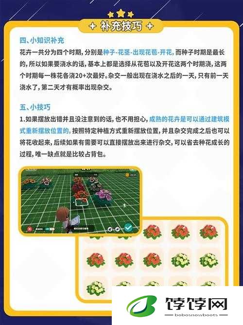 心动小镇花卉杂交方法全解析
