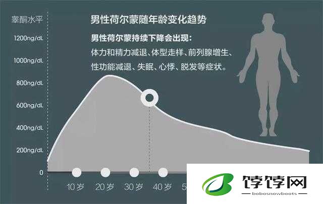 60 左右男性几天需要性一次：揭秘老年男性的性需求规律