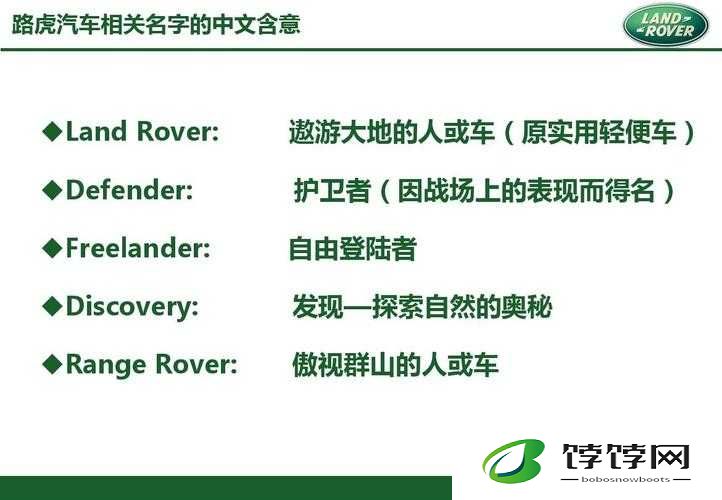 美国 XXX：探寻其背后的奥秘