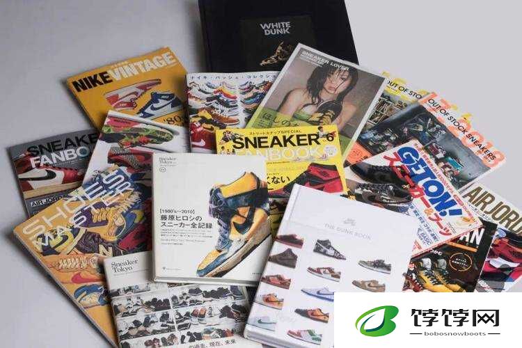 日本 Zoom 与国产 Zoom 对比：谁更胜一筹