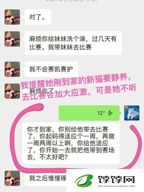 黑料吃瓜资源：劲爆猛料大揭秘