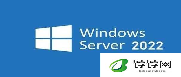 日本windowsserver免费版：引发行业热议的新宠