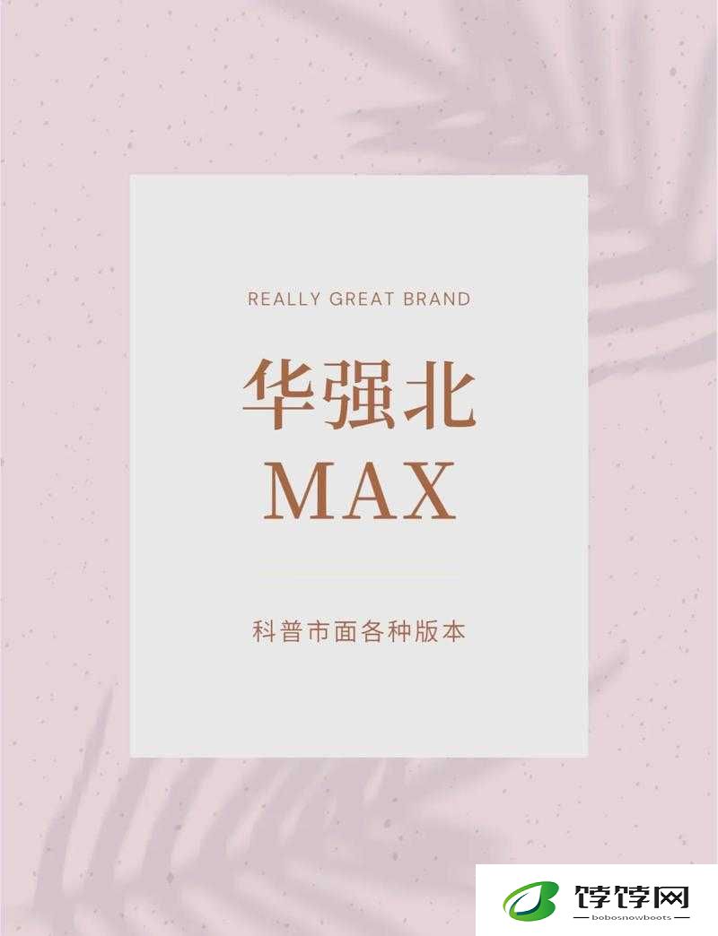 兽 906MAX 和兽 906MAX2 一样吗：深度揭秘二者的差异与共性