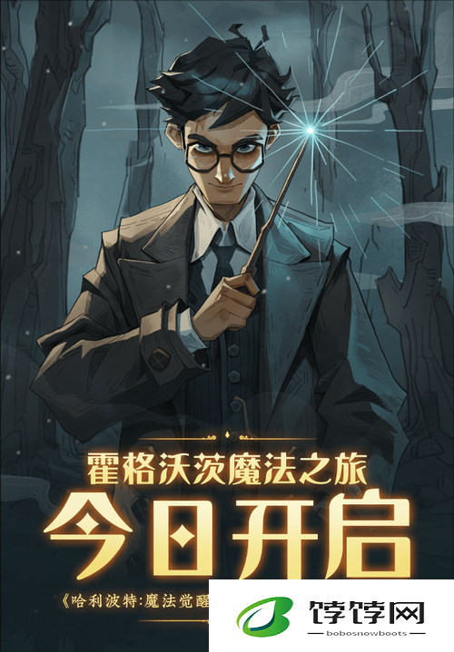 哈利波特魔法世界中的无翼飞翔之谜：揭秘魔法觉醒中的飞行奥秘