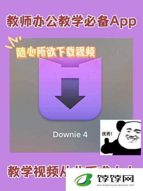 成品短视频app下载有哪些网站：掌握这些渠道，让你畅享精彩短视频世界