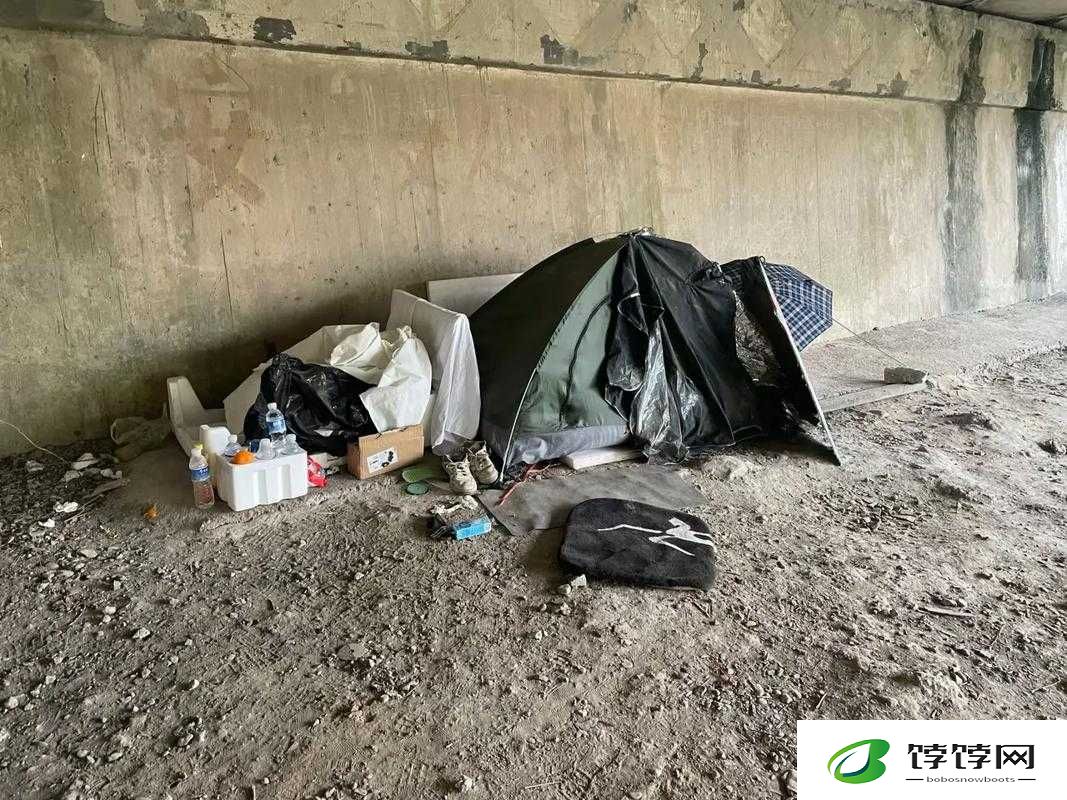 桥下将自己贡献给乞丐免费阅读：惊世骇俗背后的真相