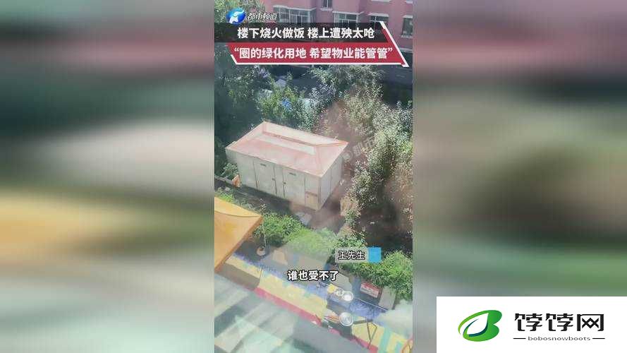 成色好 p31s 无需付费了：网友答复