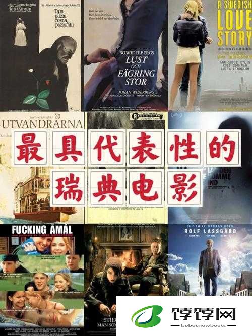 美国 XXX：关于其的深度探讨