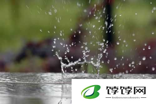 特别的体检小雨：震惊全网的健康探秘之旅