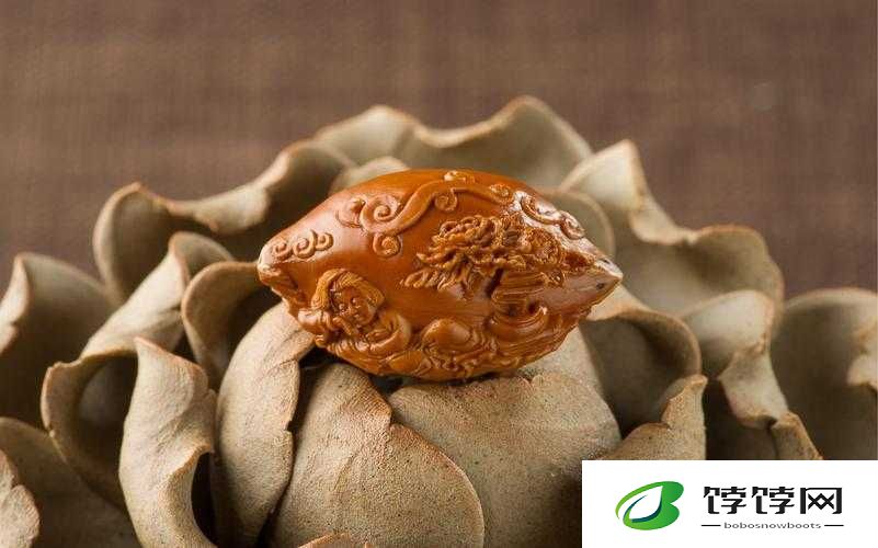 捻压花核：探索神秘的身体密码