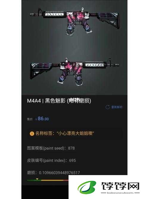 黑色大姐姐 csgo ：游戏世界中的别样魅力