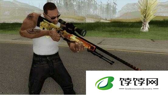 日本csgo大姐姐awp多少钱加入仙踪林：最新动态