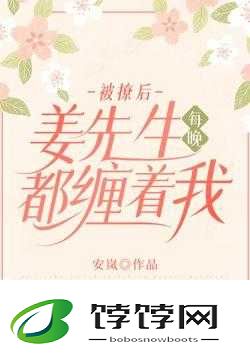 被撩后姜先生每晚都缠着我安岚：爱与纠缠不休