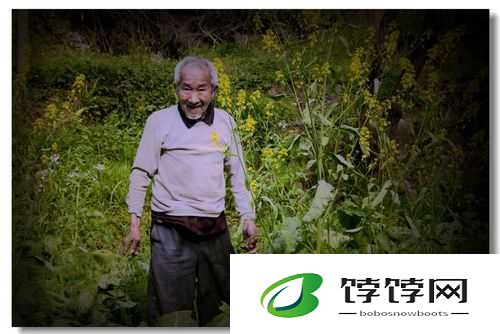 OldMacDonald 老人的田园生活