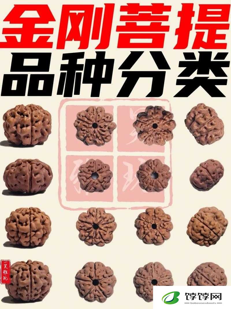 Aka上线时间揭秘：期待已久的时刻即将到来
