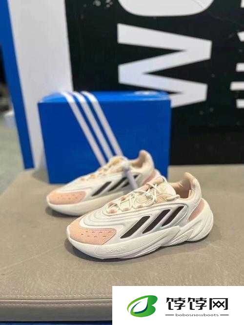 三叶草 gy6793：独特的魅力展现