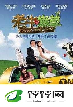 老牛嫩草一二三产品区别：探索情感世界的多元可能