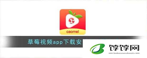 草莓视频ios下载：官方正版途径