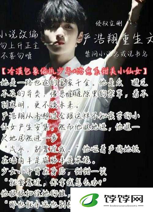 盐汽水 1vlh 俞也白笔趣阁：精彩阅读之旅